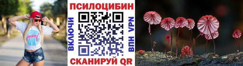 Псилоцибиновые грибы GOLDEN TEACHER  даркнет как зайти  Тетюши 